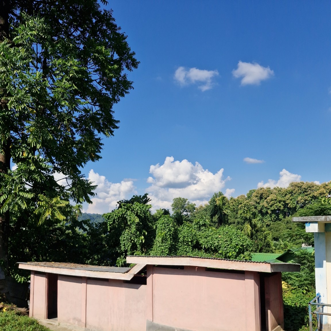 Green campus of GHSS Miao